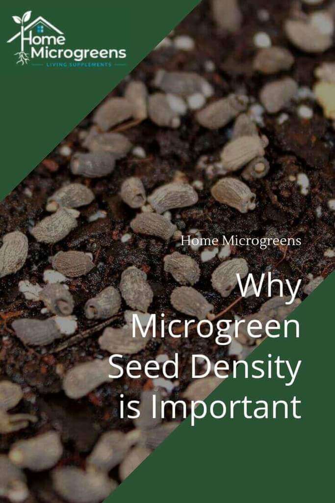 seeding density